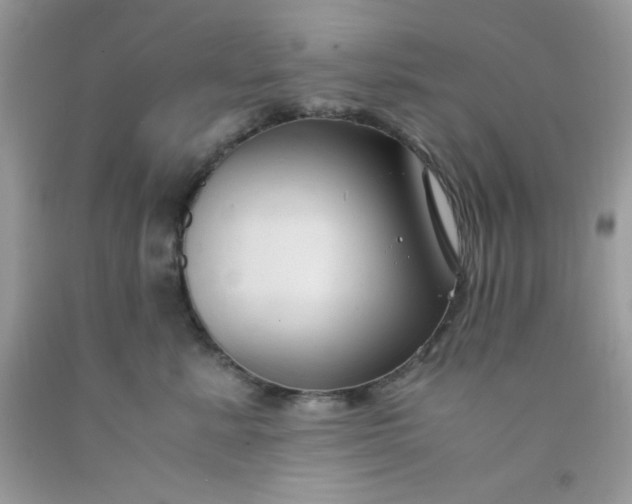 X0000091570619200709051040