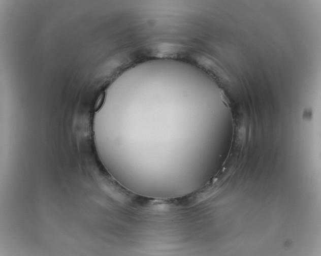 X0000091570620200709051040