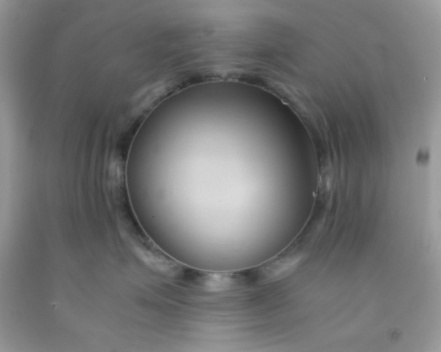 X0000091570623200709051040