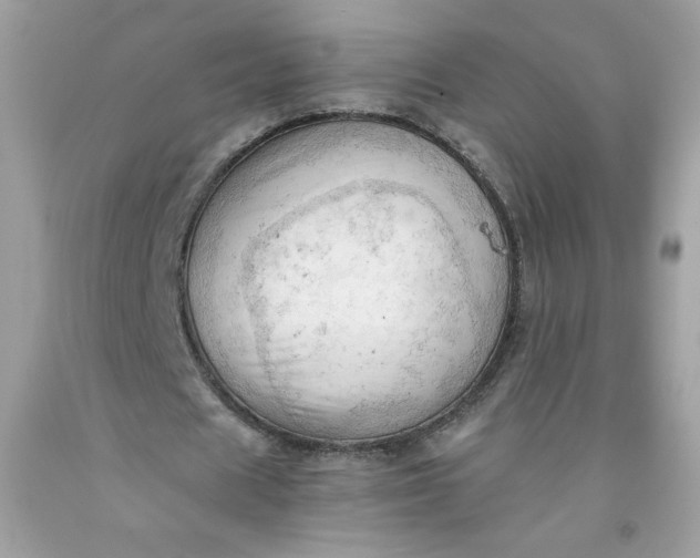 X0000091570625200709051039