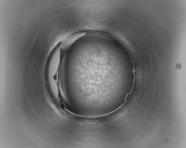 X0000091570626200709051039