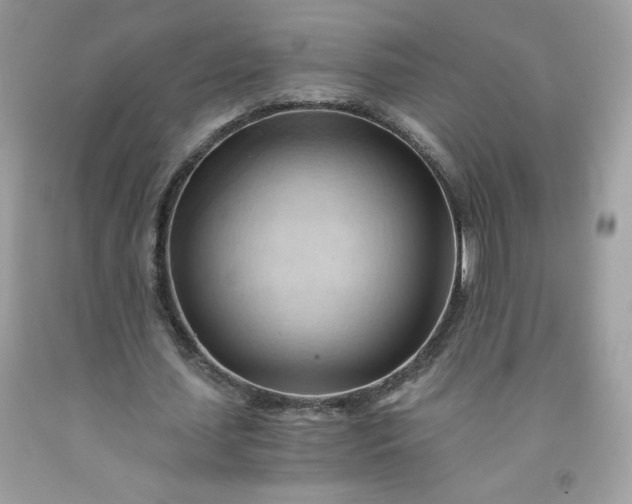 X0000091570627200709051039