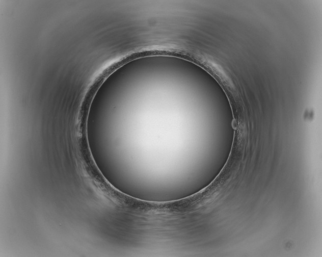 X0000091570628200709051039