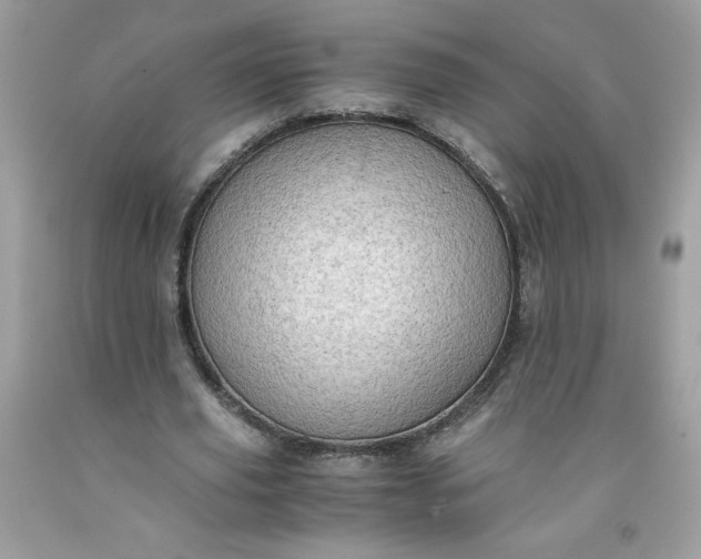 X0000091570629200709051039