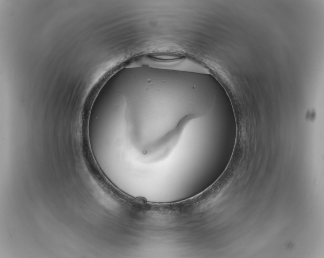 X0000091570630200709051039