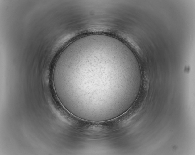 X0000091570631200709051039