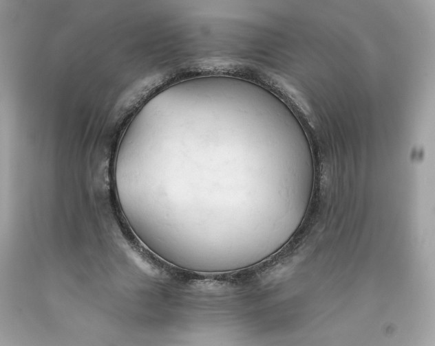 X0000091570633200709051039