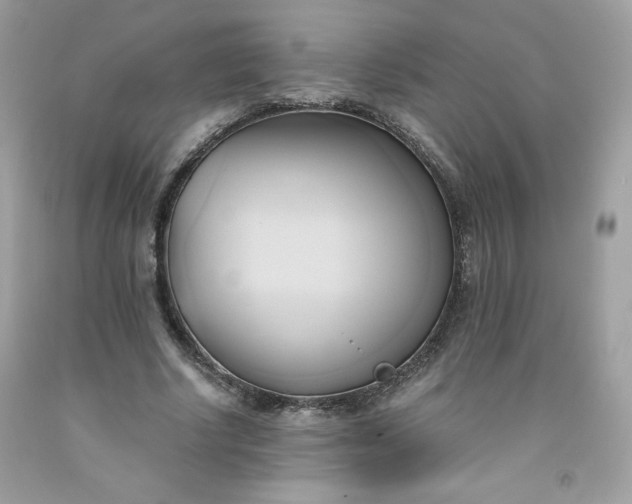 X0000091570634200709051039