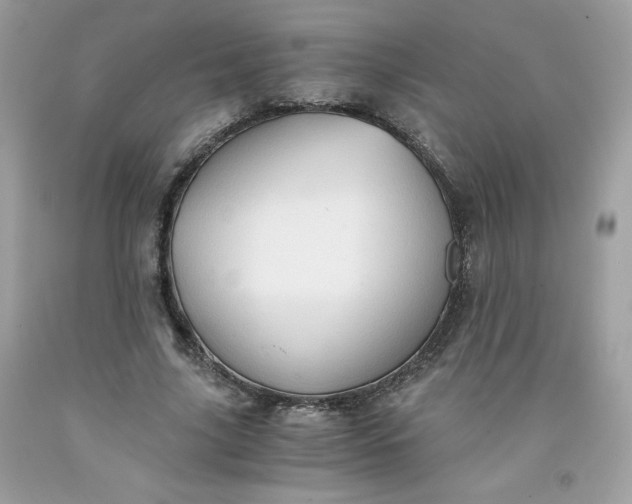 X0000091570635200709051039