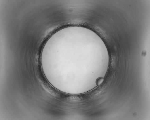 X0000091570636200709051039