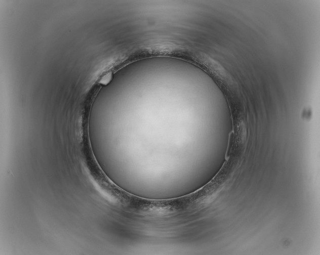 X0000091570638200709051039