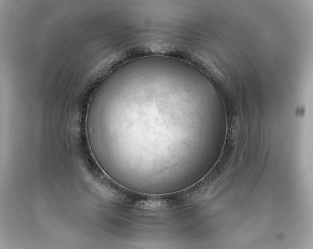X0000091570639200709051039