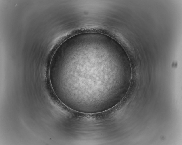 X0000091570640200709051039