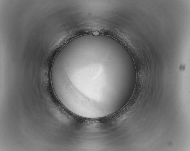 X0000091570642200709051039