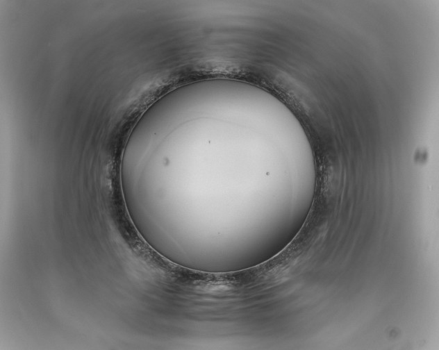 X0000091570643200709051039