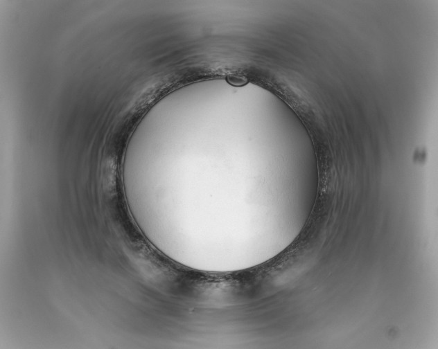 X0000091570646200709051039