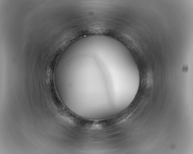 X0000091570647200709051040