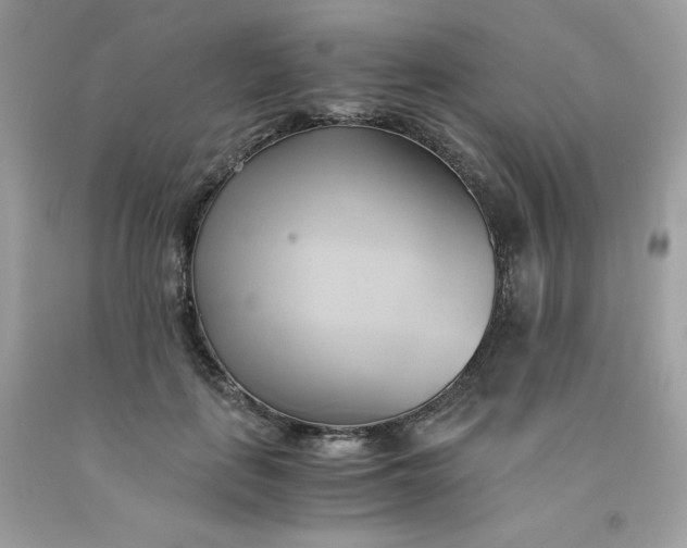 X0000091570651200709051040