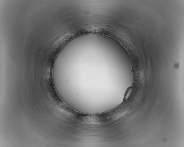 X0000091570652200709051040