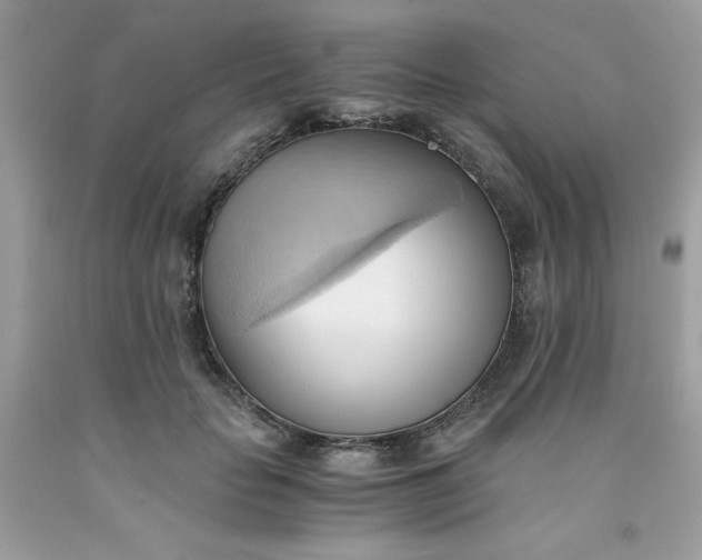 X0000091570653200709051040