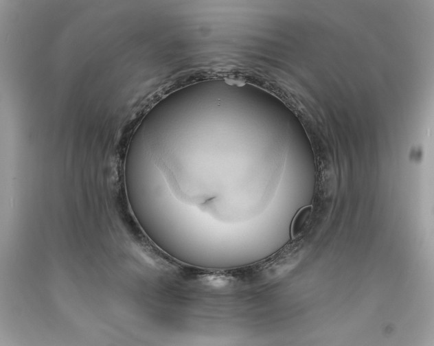 X0000091570654200709051040