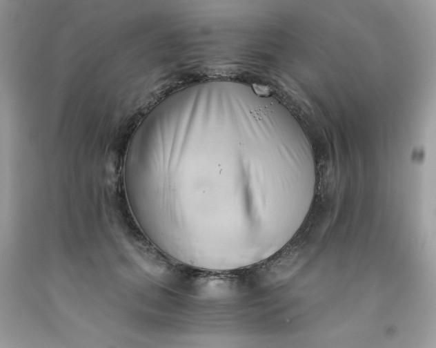 X0000091570655200709051040
