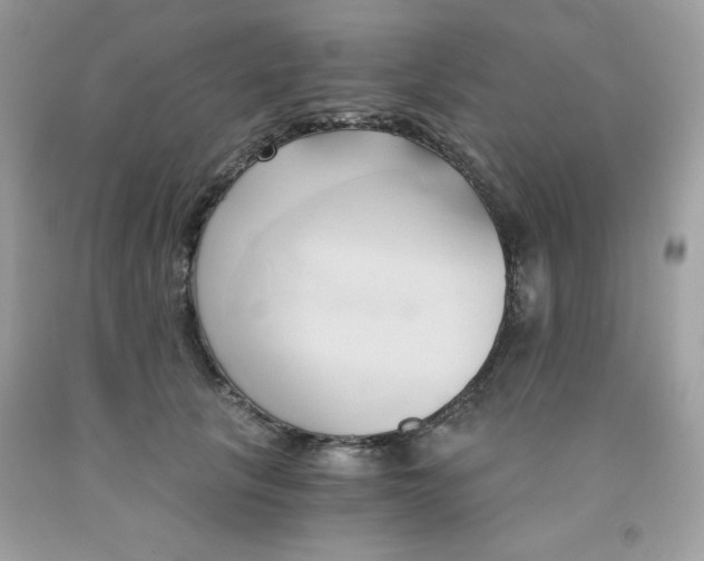 X0000091570657200709051040