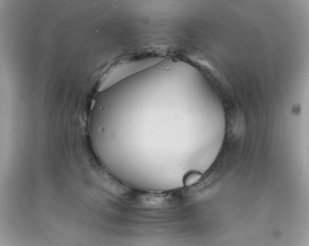 X0000091570661200709051040