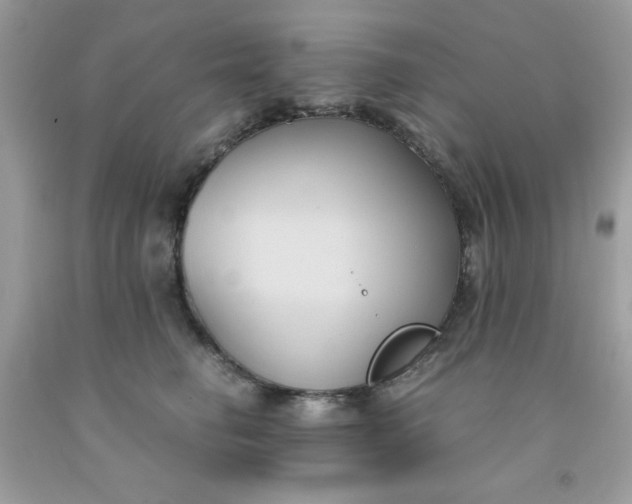 X0000091570662200709051040