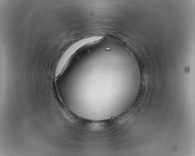 X0000091570664200709051040