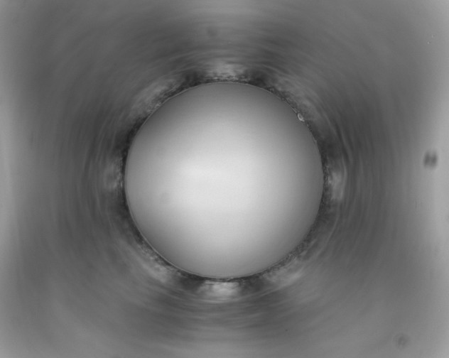 X0000091570665200709051040