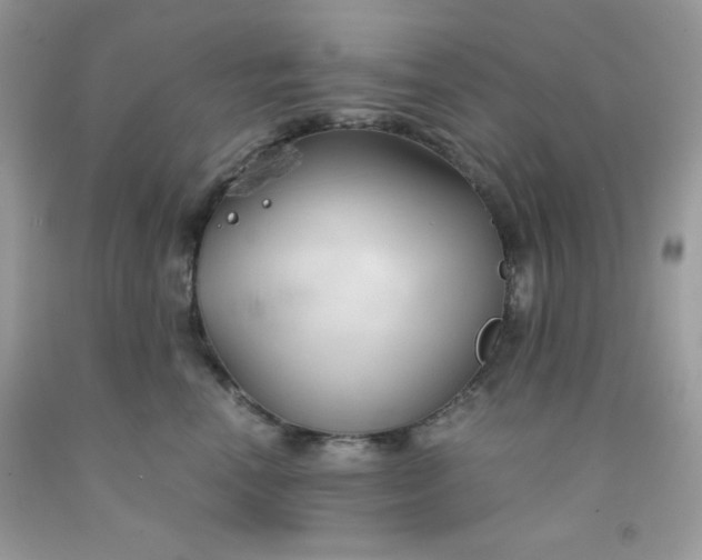 X0000091570666200709051040