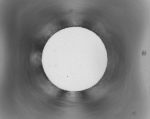 X0000091570672200709051040