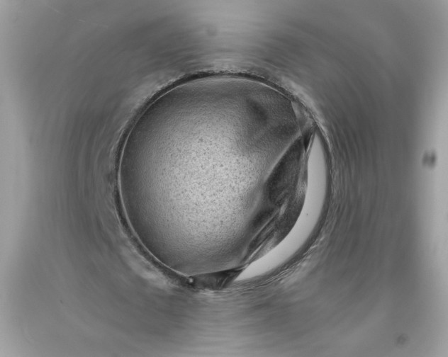 X0000091570673200709051039