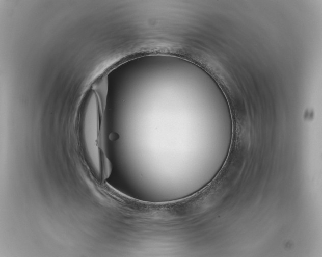 X0000091570674200709051039