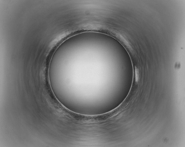 X0000091570675200709051039