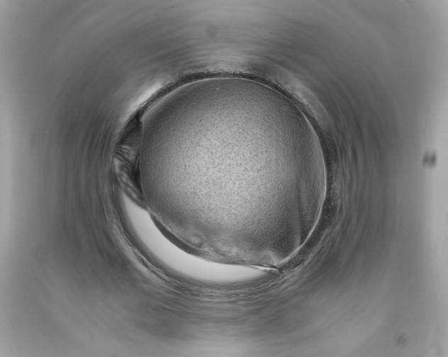 X0000091570677200709051039
