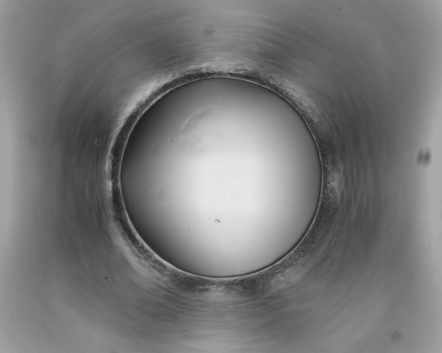 X0000091570678200709051039