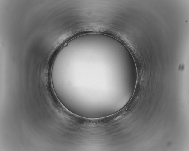 X0000091570679200709051039