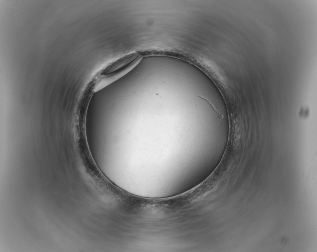X0000091570680200709051039