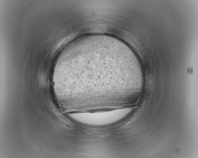 X0000091570681200709051039