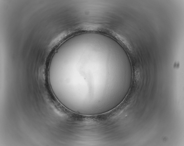 X0000091570682200709051039
