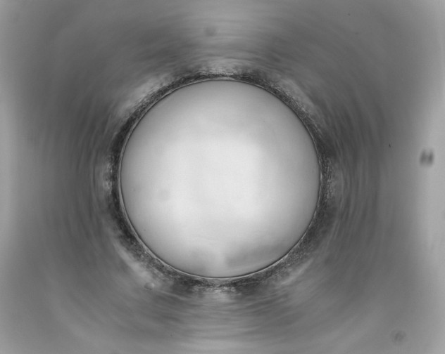 X0000091570683200709051039