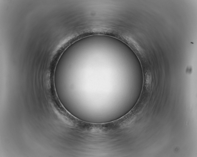 X0000091570684200709051039