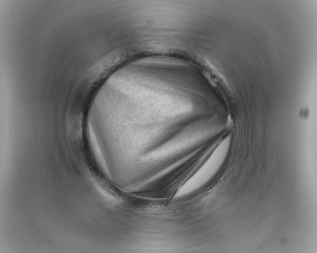 X0000091570685200709051039