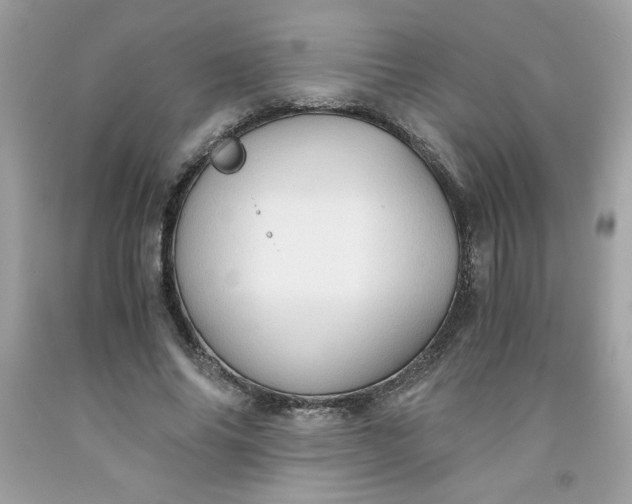 X0000091570686200709051039