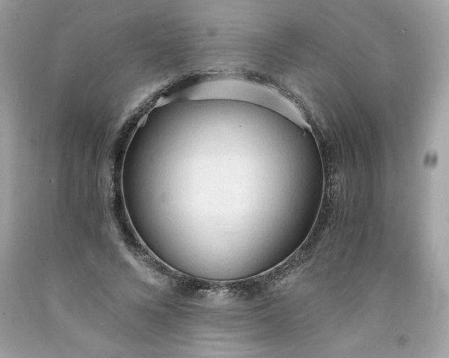 X0000091570688200709051039