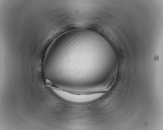 X0000091570689200709051039
