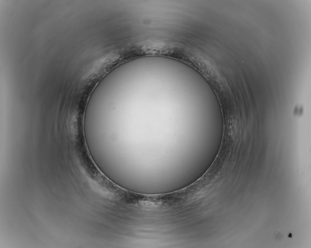 X0000091570690200709051039