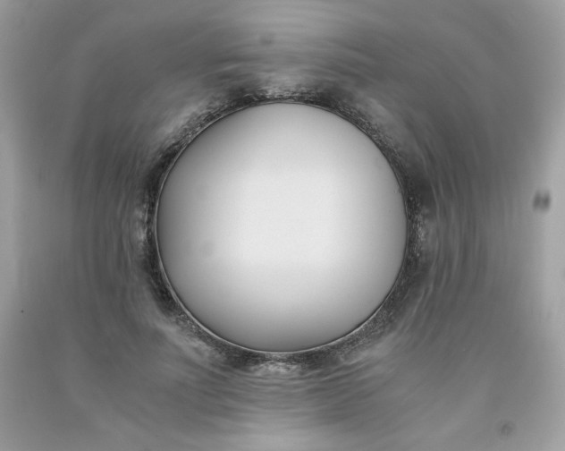 X0000091570691200709051039